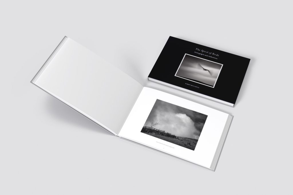 The Spirit of Birds  |  Hardback Book