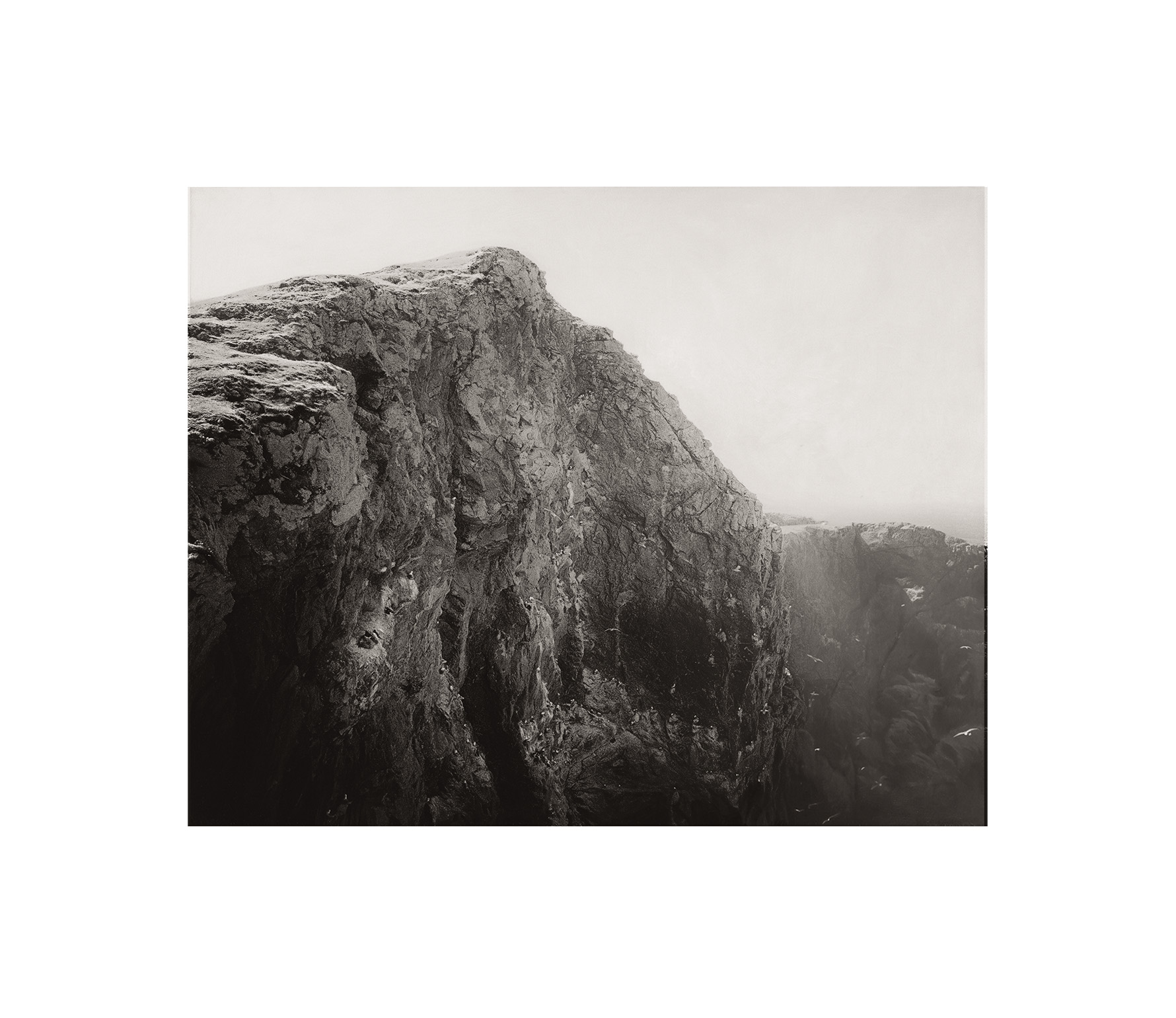 Cliffs above Foul Carr, St Abb's Head, Scotland, 2025