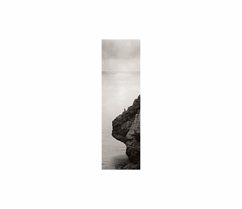 Cormorant, Waimie Carr, St Abb's Head, Scotland, 2025