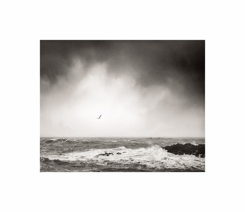 Rough Sea at Long Carr, Starney Bay, St Abb's Head, 2026